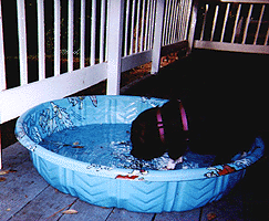 Suey in her Pool